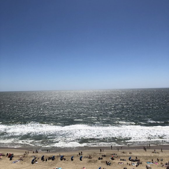 Meet your Posher, Paola - Picture 1 of 1